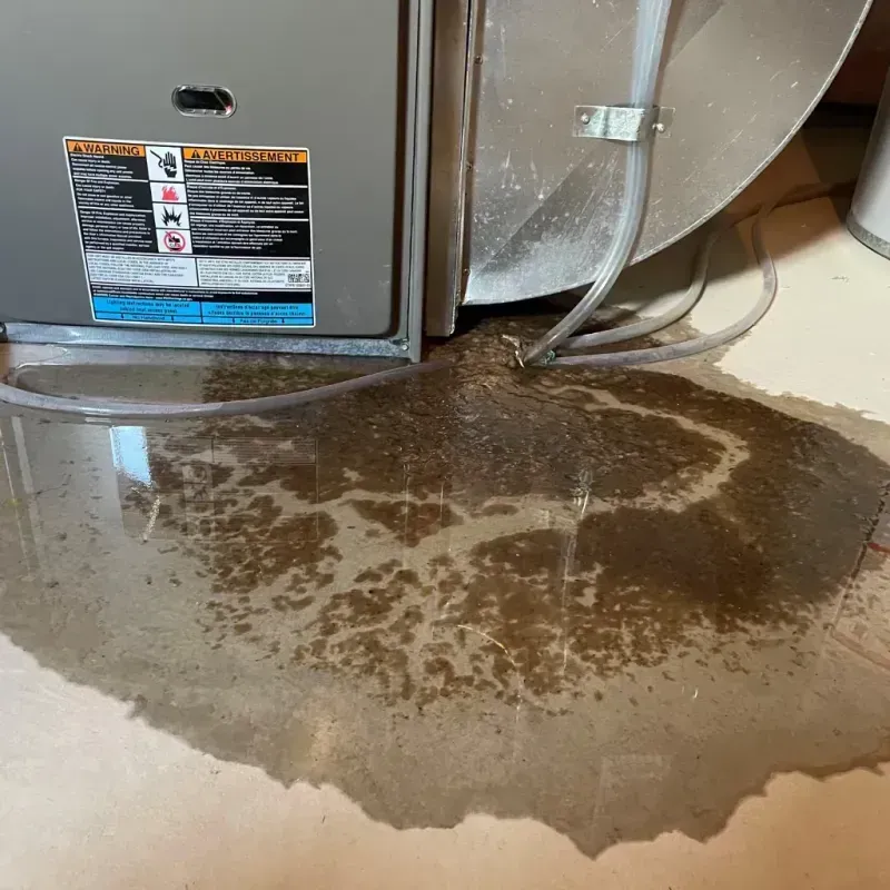 Appliance Leak Cleanup in Essex County, VT